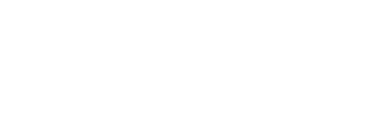 WWS logo Text White