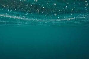 How To Treat and Prevent Pseudomonas In Commercial Water Systems