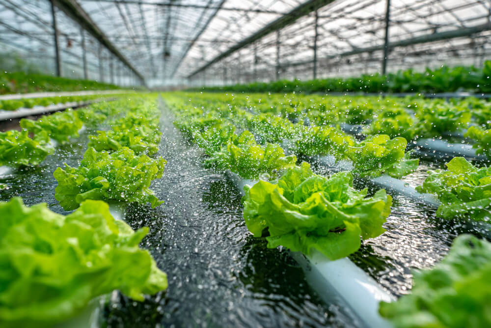 RO system for agriculture industry